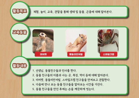쥬니멀 표지